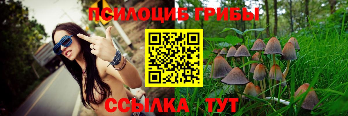 Псилоцибиновые грибы мухоморы Тара