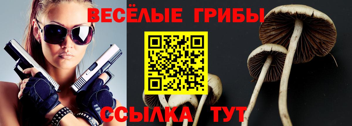 Псилоцибиновые грибы мицелий  Вход с VPN  Тара 